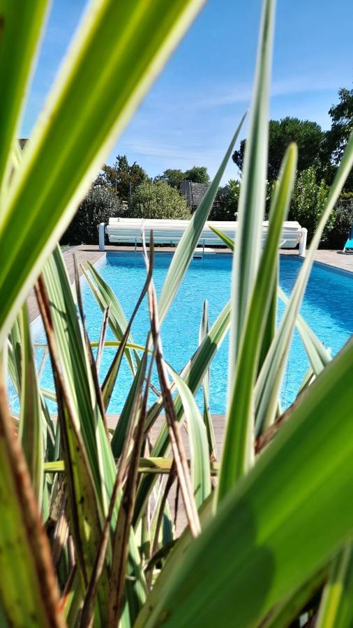 Chambre Dans Un Ecrin De Verdure Angrie Exterior photo