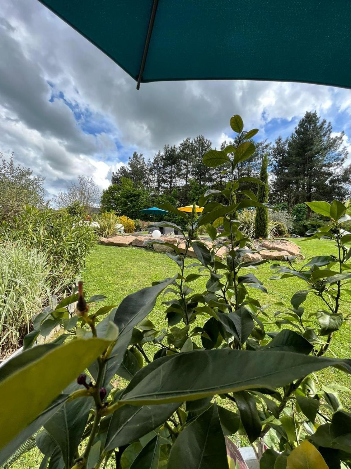 Chambre Dans Un Ecrin De Verdure Angrie Exterior photo
